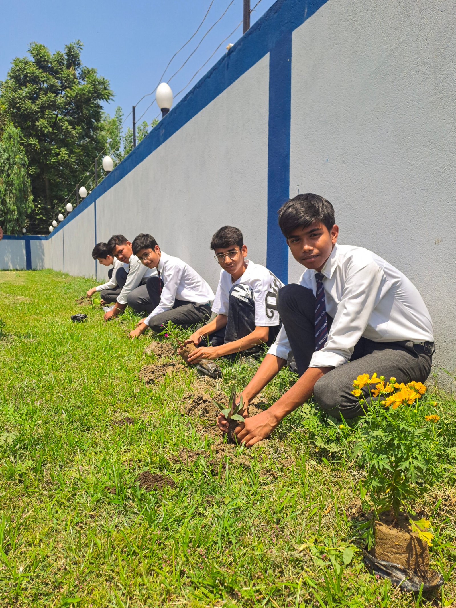 Plantation Drive 2024 at Guidance International School 03